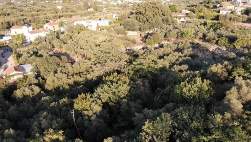 Neo Chorio im Apokoronas Kreta, Neo Chorio: Charmantes Baugrundstück mit Olivenbäumen und Panoramablick im Apokoronas zu verkaufen Grundstück kaufen